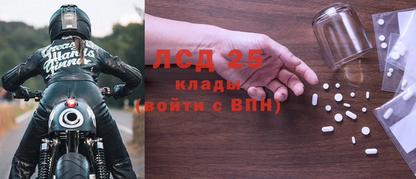 стаф Сосновый Бор