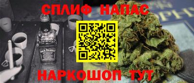 прущие грибы Комсомольск-на-Амуре