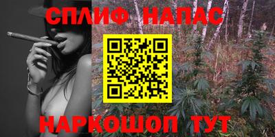 прущие грибы Комсомольск-на-Амуре