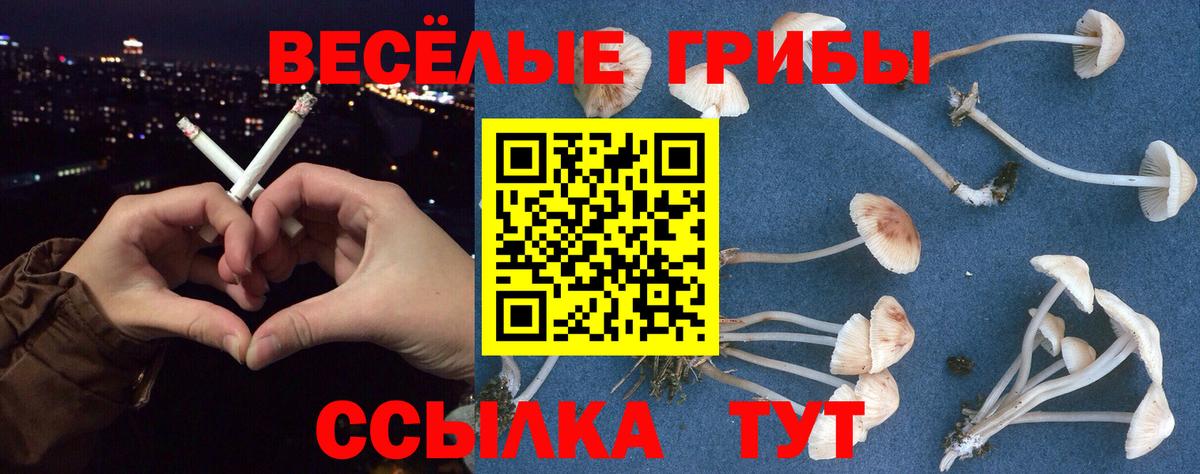 Корсаков  Псилоцибиновые грибы прущие грибы  продажа наркотиков  Вход с VPN 