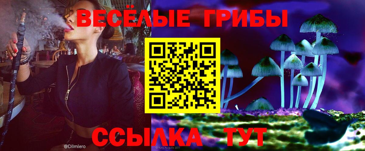 Псилоцибиновые грибы мухоморы Корсаков